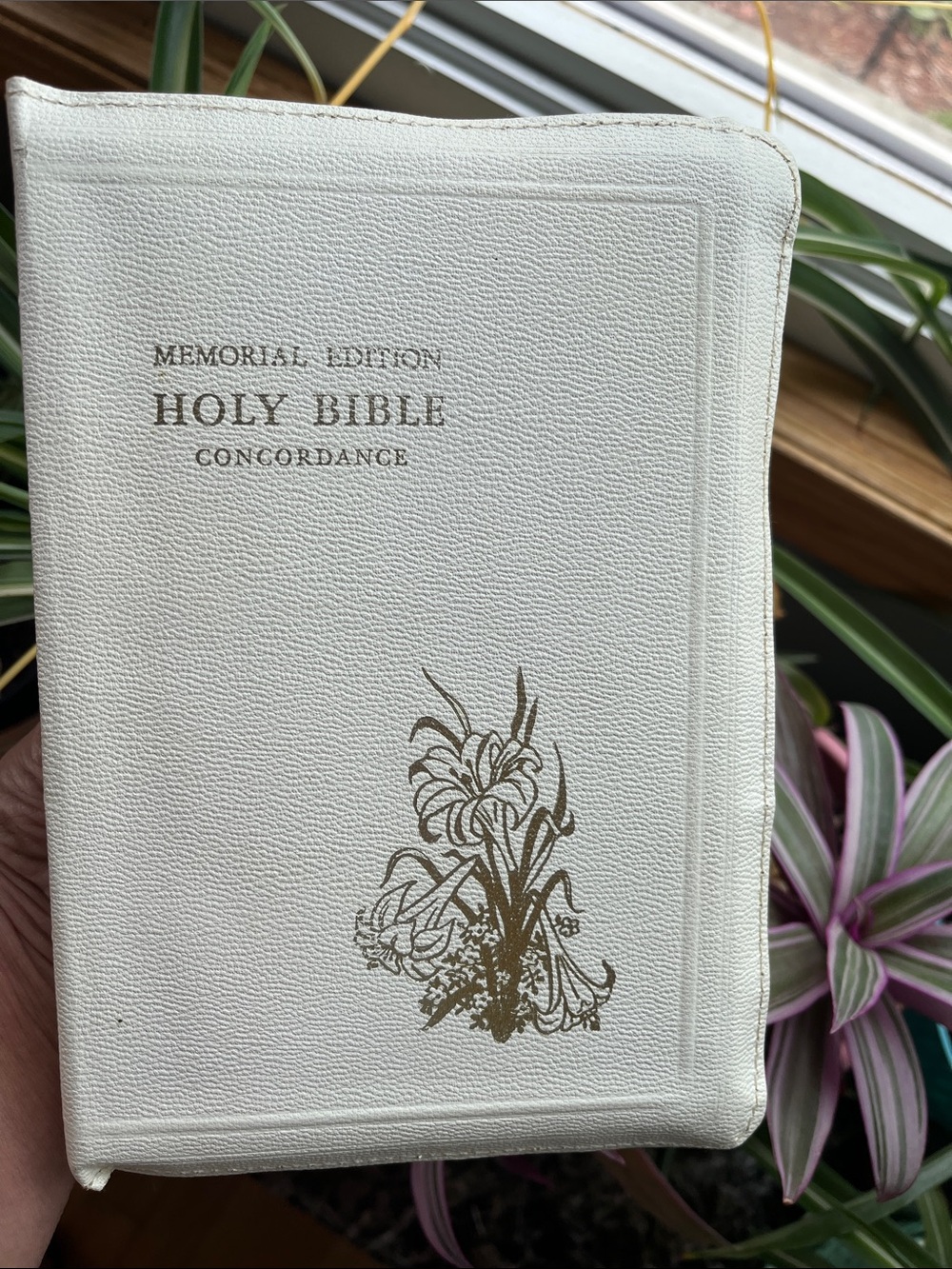 Holy Bible, KJV, Memorial Edition, Concordance, Illustrated, Red Letter Vtg 1958